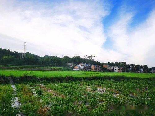 三穗县农业植保无人机助推农业现代化